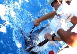 Data Logger survives 5 years at sea